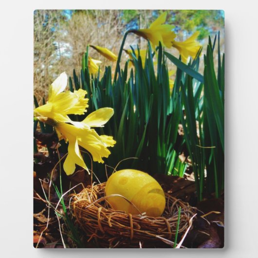 Gelbe Daffodien und ein Gelbes Osterei Fotoplatte (Vorderseite)