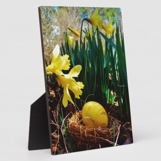 Gelbe Daffodien und ein Gelbes Osterei Fotoplatte (Seite)