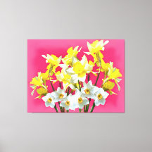 Gelbe Daffodien und weiße Narcissi Viva Magenta