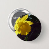Gelbe Daffodil-Blume im Sonnenlicht Button (Vorne & Hinten)
