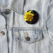 Gelbe Daffodil-Blume im Sonnenlicht Button (Beispiel)