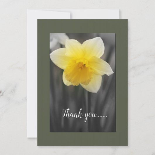 Gelbe Daffodilatine Danke Karte (Vorderseite)