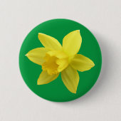 Gelbe Daffodin auf Grün Button (Vorderseite)