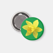 Gelbe Daffodin auf Grün Magnet (Vorderseite/Rückseite)