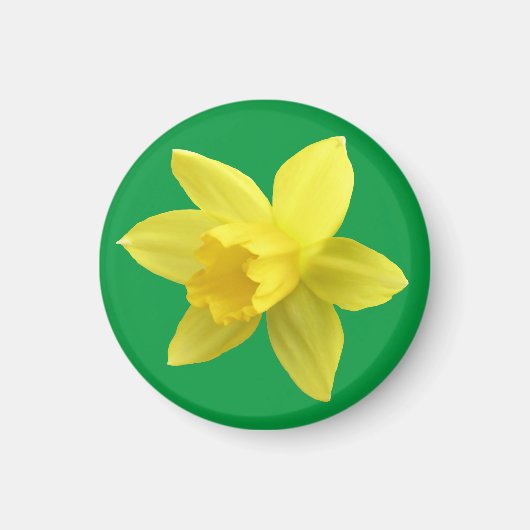 Gelbe Daffodin auf Grün Magnet (Vorne)
