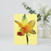 Gelbe Daffodische Aquarellkunst Frühlingskunst Blu Postkarte (Stehend Vorderseite)