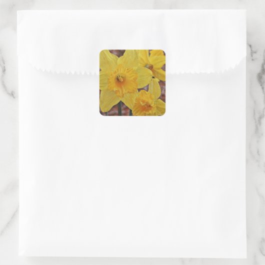 Gelbe Daffodische Blume Art Sticker (Tasche)