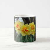 Gelbe Daffodische Blume Kaffeetasse (Mittel)