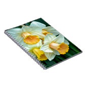 Gelbe Daffodische Blume Notizblock (Rechte Seite)