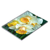 Gelbe Daffodische Blume Notizblock (Linke Seite)