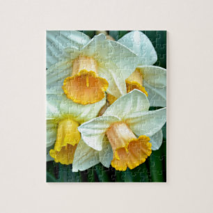 Gelbe Daffodische Blume Puzzle