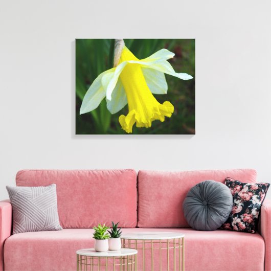 Gelbe Daffodische überzogene Canvas Print Leinwanddruck (Insitu (Wohnzimmer))