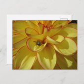 Gelbe Dahlia mit rosa Grenz-DIY Postkarte (Vorne/Hinten)