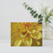 Gelbe Dahlia mit rosa Grenz HELLO Postkarte (Stehend Vorderseite)