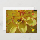 Gelbe Dahlia mit rosa Grenz HELLO Postkarte (Vorne/Hinten)