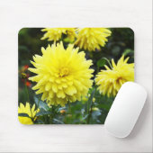 Gelbe Dahlien Mousepad (Mit Mouse)