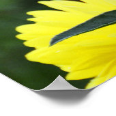 Gelbe Dahlien Poster (Ecke)