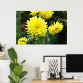 Gelbe Dahlien Poster (Heimbüro)