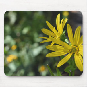 Gelbe Daisy-Blume Blumennatur Fotografie Mousepad