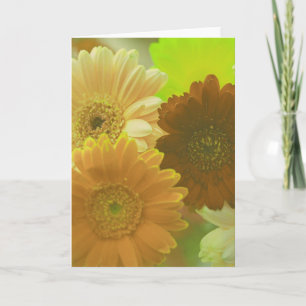 Gelbe Daisy-Blume Foto Hinweis oder Grußkarten Karte