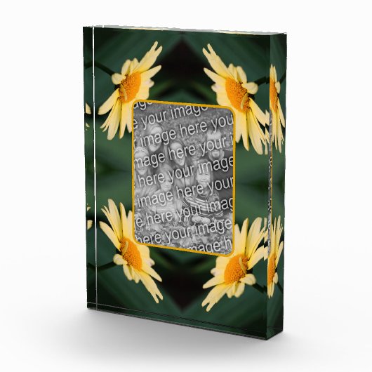 Gelbe Daisy-Blume Fotoblock (Rechts)