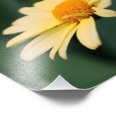 Gelbe Daisy-Blume Nah 8x8 Fotodruck (Ecke)