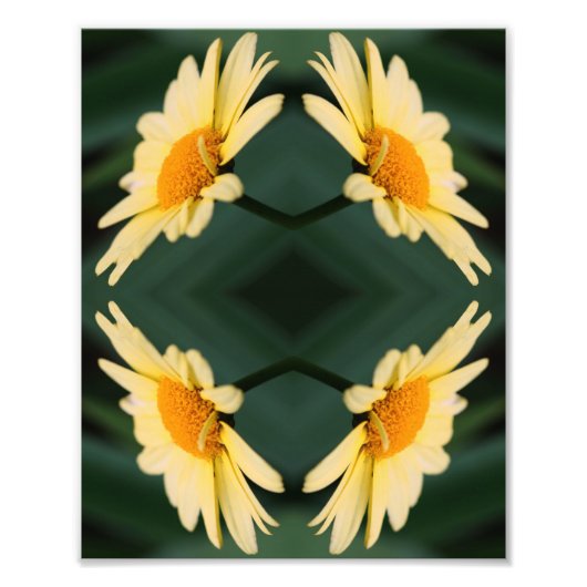 Gelbe Daisy-Blume Nah Up Mirror Abstrakt 8x10 Fotodruck (Vorne)