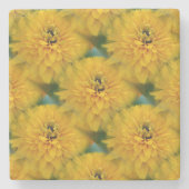 Gelbe Daisy Blume Naturkunst Muster Steinuntersetzer (Vorderseite)