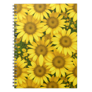 Gelbe Daisy-Blume Notizblock