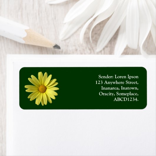 Gelbe Daisy - Dunkelgrün (Insitu)