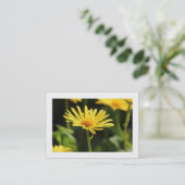 Gelbe Daisy (grenzt) Visitenkarte (Stehend Vorderseite)