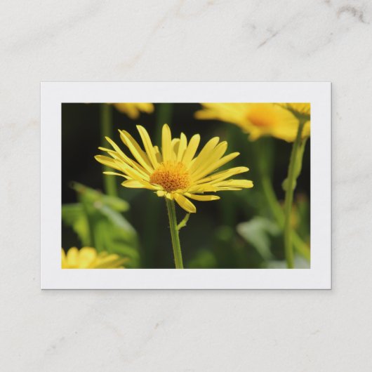 Gelbe Daisy (grenzt) Visitenkarte (Vorderseite)