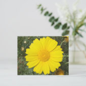 Gelbe Daisy-Postkarte, anpassen Postkarte (Stehend Vorderseite)