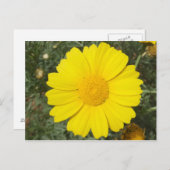 Gelbe Daisy-Postkarte, anpassen Postkarte (Vorne/Hinten)