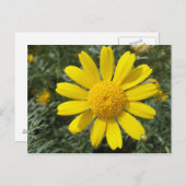 Gelbe Daisy-Postkarte, anpassen Postkarte (Vorne/Hinten)