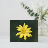 Gelbe Daisy-Postkarte Postkarte (Stehend Vorderseite)