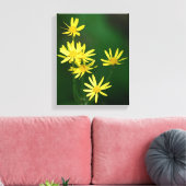 Gelbe Daisy-Wildblumen Leinwanddruck (Insitu (Wohnzimmer))