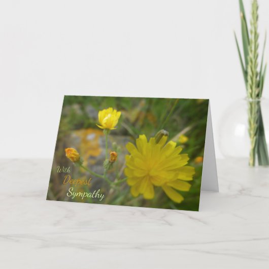 Gelbe Dandelion Blume Serene Sympathy Card Karte (Vorderseite)