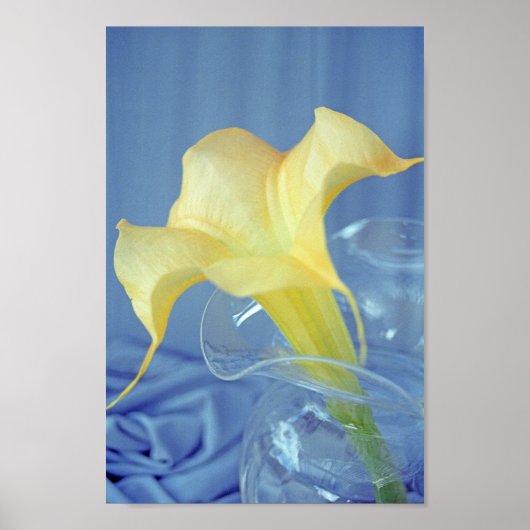 Gelbe Datura Blume Wand Kunstdruckplakat Poster (Vorne)
