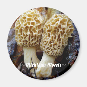 Gelbe Doppelmorcheln, ~Michigan Morels~ Magnet