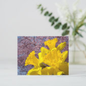 Gelbe düstere Blume Postkarten Baumblüten (Stehend Vorderseite)
