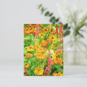 Gelbe Echinacea-Blumen Postkarte (Stehend Vorderseite)