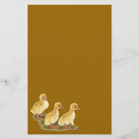 Gelbe Encklings Briefpapier (Vorderseite)