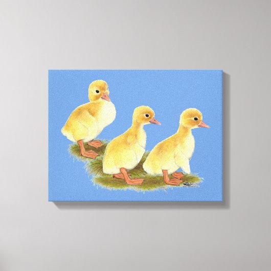 Gelbe Encklings Leinwanddruck (Vorderseite)