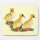 Gelbe Encklings Mousepad (Vorne)