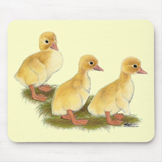 Gelbe Encklings Mousepad (Vorne)