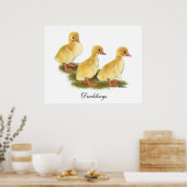 Gelbe Encklings Poster (Küche)