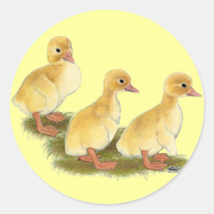 Gelbe Encklings Runder Aufkleber