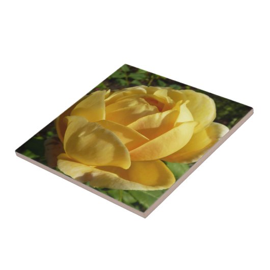 Gelbe Englische Rose Fliese (Seite)