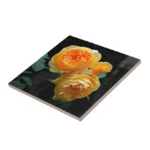 Gelbe Englische Rose Fliese (Seite)